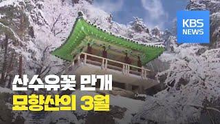 [북한 영상] 묘향산의 3월 / KBS뉴스(News)