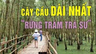 Cây cầu tre dài nhất rừng tràm trà sư việt nam châu đốc - Chân lý cuộc sống