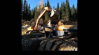 Epic Gold Mining!