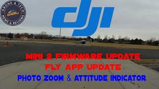 DJI Mini 2 Firmware Update v01 02 0100 & Fly App Update v1.2.2 Full Flight Test