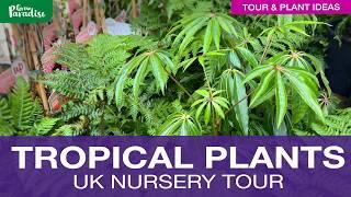 TROPICAL GARDEN plant nursery, get inspiration!