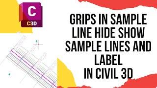 Grips in sample line hide show sample lines and label