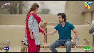 Gherat Bhi Koi Cheez Hoti Hai...!! #sajalali #hamzasohail - Zard Patton Ka Bunn - HUM TV