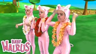 Anna Rose & Amanda - Three Little Pigs