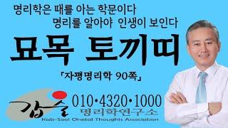 지지(묘목卯木)(자평명리학90쪽)-갑술명리학연구소-안태옥박사 #음목 #경칩 #춘분 #토끼 #정동 #묘시 #천파 #사양이음 #묘위경림 #토끼띠 #별주부