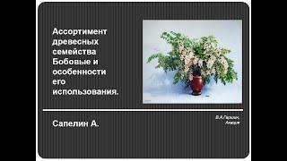 Трейлер к вебинару Александра САПЕЛИНА "Декоративные Бобовые для сада"