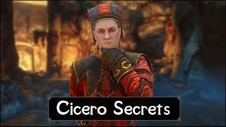 Skyrim: Top 5 Cicero Secrets You (Probably) Never Knew in The Elder Scrolls 5: Skyrim