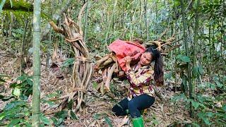 I took my children to school and then went into the deep forest to find medicinal plants to sell