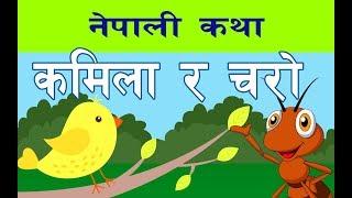 कमिला र चरा नेपाली कथा | Stories for Kids | Nepali Stories for Kids