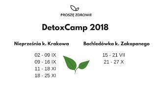 Detox Camp, wyjazdy z dietą dr Dąbrowskiej