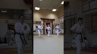 Каратэ тренировки #martialarts #единоборствадлядетей #karate #sports #сэйдокан