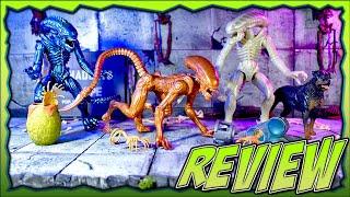 Lanard Aliens: Xenomorph Drone, Warrior, Runner REVIEW