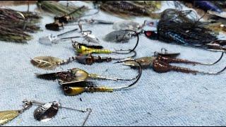Why are my Chatterbaits Naked and Afraid what is coming at Bass n Bonsai