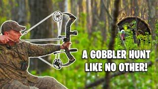 Bow Hunters Will Love This! - Hunting Public Land