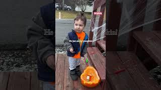 ‘Dang it, moose': Young boy in Alaska is adorably angry after moose eats his pumpkin