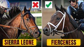 Top 5 Contenders 2024 Eclipse Awards | Pros And Cons | Fierceness Sierra Leone And Dornoch