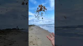 Beautiful slow motion shot on beach #Shorts