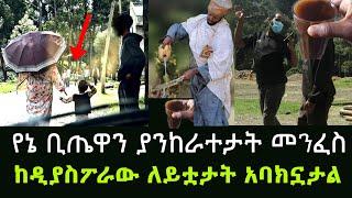 ጨርቋን ጥላ እንድታብድ በጠላ አድርጌ አጠጣዋት|| ዲያስፖራው በሰማው ነገር ነርቨስ ሆነ አዲስ ጎጆ Addis Gojo