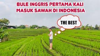 Beli OLEH-OLEH Buat Teman Di Inggris Dan Moment Paling Berkesan Di Bali