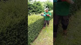 SINGLE SIDED Hedge Trimmer #shorts