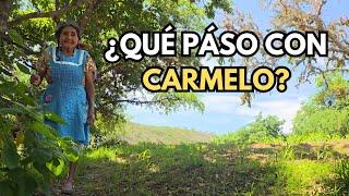 ¿Qué pasó con Carmelo ?