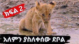 እውነተኛ ታሪክ፡ በእናቱ የተከዳው አሳዛኝ ደቦል ታሪክ {ክፍል 2}.