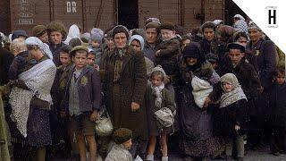 NEVER-SEEN VIDEOS FROM AUSCHWITZ | COLOR