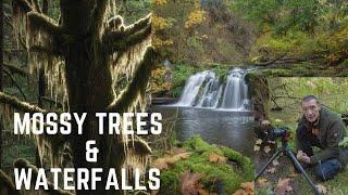 Mossy Trees & Waterfalls- Landscape Photography Vancouver Island #landscapephotography #waterfalls