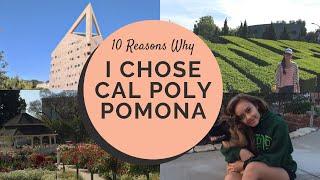 10 Reasons Why I Chose Cal Poly Pomona