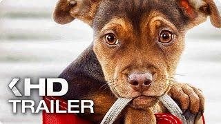 A DOG'S WAY HOME Trailer (2019)