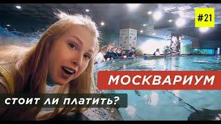 МОСКВАРИУМ НА ВДНХ (в Что посмотреть и Сколько Стоит)