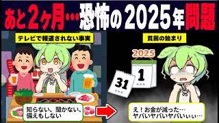 地獄へのカウントダウン…2025年問題がヤバすぎる【ずんだもん解説】