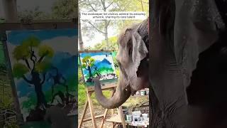 Bullied elephant unveils an extraordinary talent