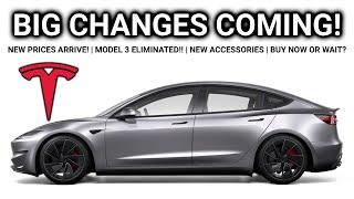 Model Y/3 NEW Options and BIG Changes: Buy NOW or Wait? (2024)