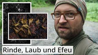 Naturfotografie: DETAILS im WALD - Rinde, Laub und Efeu