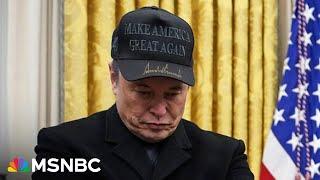 ‘Could explain something’: Nicolle Wallace on Elon Musk’s reportedly intense drug use