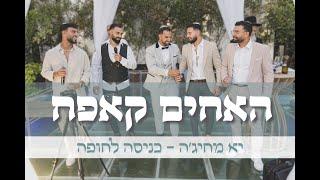 האחים קאפח - יא מחיג׳ה | يا محجة (כניסה לחופה)