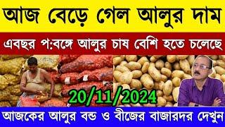 আজকের আলুর দাম /West Bengal potato market price today/India potato market rate/Up potato market