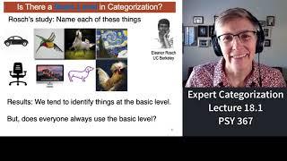 367 Lecture 18.1 Expert Categorization