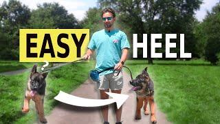 The EASY Way to Teach a "Heel" Command