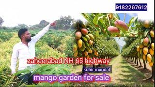 10#acer #mango garden #farm house land for sale #patancheru #nh65 #sangareddy #zaheerabad#fromhouse