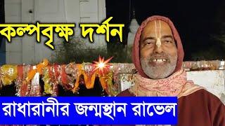 শ্রীমতি রাধারানীর জন্মস্থান রাভেল কল্পবৃক্ষ দর্শন করুন । বৃন্দাবন পরিক্রমা