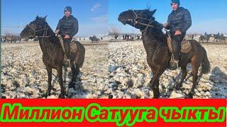 Миллион сатууга чыкты тел 0700787992