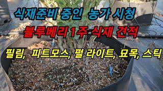 블루베리 필림재배 1주당 식재견적. 가성비 짱. 15년간 검증된 재배방법  #메도우락 전문농원 #메도우락 묘목판매(010 8895  4161)