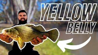 Mavllos Ultima Bass BFS Fishing Rod - Best BFS Catch so far!