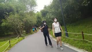 LOVE THE NATURE BOTANIC GARDEN BUKIT TEMAH/DG05 CHANNEL