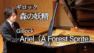 Gillock : Ariel (A Forest Sprite) / ギロック：森の妖精