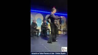 Actuación  Flamenco en Tablao El Jaleo (Córdoba) España