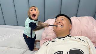 Hilarious! Cubis the Monkey tries to wake Dad up!
