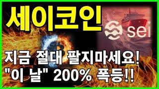 세이코인 전문가절대로 지금 팔지 마세요!! "이 날" 세이 대불장 옵니다!!!